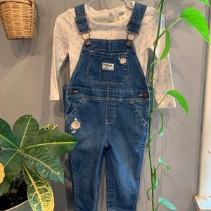 Girls 18 months OshKosh Overall, Onesie, Shirt, Set , Outfit Lot